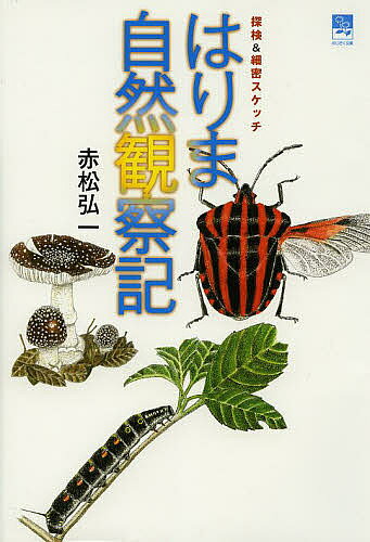 ＜全品15倍 ※8/24~27限定 要エントリー＞はりま自然観察記 探険&細密スケッチ／赤松弘一