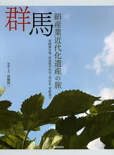 【2500円以上送料無料】群馬　絹産業近代化遺産の旅　富岡製糸場・田島弥平旧宅・高山社・荒船風穴／高橋慎一