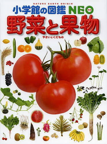 楽天bookfan 1号店 楽天市場店野菜と果物／板木利隆【3000円以上送料無料】