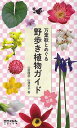 万葉歌とめぐる野歩き植物ガイド 春〜初夏/山田隆彦/山津京子【3000円以上送料無料】