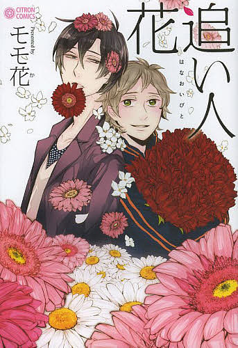花追い人／モモ花【3000円以上送料無料】