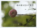 命が命を生かす瞬間(とき)/藤川幸之助/・写真真宗大谷派宗務所出版部(東本願寺出版部)【3000円以上送料無料】