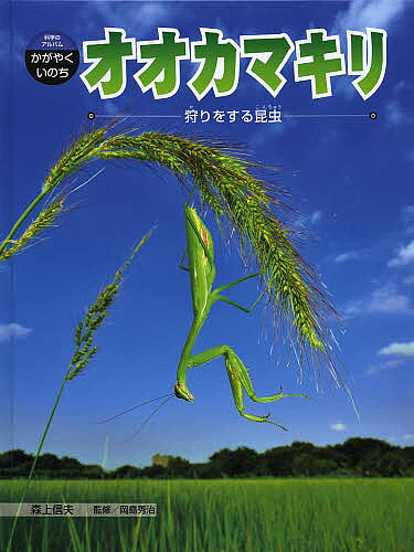 著者森上信夫(著) 岡島秀治(監修)出版社あかね書房発売日2013年03月ISBN9784251067159ページ数63Pキーワードプレゼント ギフト 誕生日 子供 クリスマス 子ども こども おおかまきりかりおするこんちゆうかがくの オオカマキリカリオスルコンチユウカガクノ もりうえ のぶお おかじま し モリウエ ノブオ オカジマ シ9784251067159目次第1章 オオカマキリの狩り（えものがやってきた/ねらいを定めてつかまえる ほか）/第2章 まちぶせをする虫たち（葉や茎に身をかくす/花やかれ葉になりすます ほか）/第3章 オオカマキリの育ち方（メスに飛びつくオス/あわの中に卵を産む ほか）/みてみよう・やってみよう（オオカマキリをみつけよう/オオカマキリを飼ってみよう ほか）/かがやくいのち図鑑（日本にいるカマキリ/外国にいるカマキリ）
