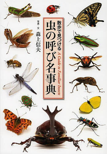 虫の呼び名事典 散歩で見つける／森上信夫【3000円以上送料無料】のサムネイル