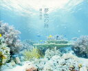 夢色の海/鍵井靖章【3000円以上送料無料】