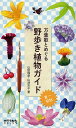 万葉歌とめぐる野歩き植物ガイド 夏〜初秋/山田隆彦/山津京子【3000円以上送料無料】