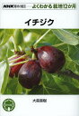イチジク/大森直樹【3000円以上送料無料】