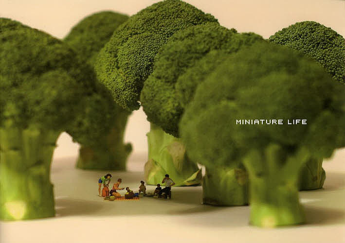 MINIATURE LIFE Conceptual art of MINIATURE CALENDAR／MINIATURECALENDAR