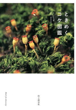 ときめくコケ図鑑／田中美穂／伊沢正名【3000円以上送料無料】