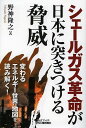 シェールガス革命が日本に突きつける脅威/野神隆之【3000円以上送料無料】