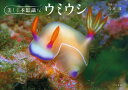 美しく不思議なウミウシ/今本淳【3000円以上送料無料】