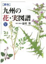 〈原色〉九州の花・実図譜 5/益村聖【3000円以上送料無料】