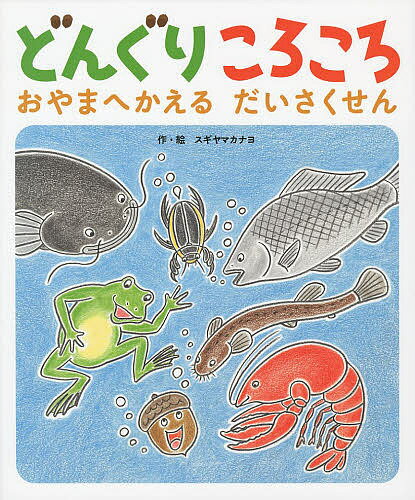 楽天市場】ドングリコロコロの通販 