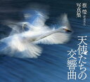 天使たちの交響曲 蔡瑩〈渡辺幸江〉写真集/蔡瑩【3000円以上送料無料】