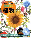 植物／天野誠／斎木健一【3000円以上送料無料】