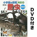 昆虫／小池啓一／・執筆小野展嗣／・執筆町田龍一郎【3000円