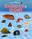 さがして海ハカセ 1/小林安雅【3000円以上送料無料】