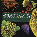植物の奇妙な生活 カラー版 電子顕微鏡で探る驚異の生存戦略/ヴォルフガング・シュトゥッピー/ロブ・ケスラー/マデリン・ハーレー【3000円以上送料無料】
