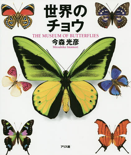 Ẽ`E THE MUSEUM OF BUTTERFLIES^XF^|Fy3000~ȏ㑗z