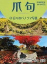爪句@日々のパノラマ写真/青木曲直【3000円以上送料無料】
