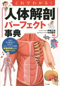 これでわかる!人体解剖パーフェクト事典/伊藤正裕/中村陽市【3000円以上送料無料】