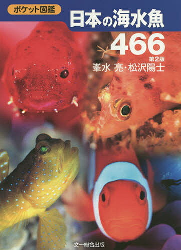 日本の海水魚466／峯水亮／松沢陽士【3000円以上送料無料】