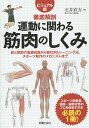 運動に関わる筋肉のしくみ ビジュアル版 徹底解剖／石井直方【3000円以上送料無料】