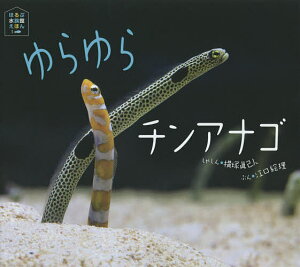 ゆらゆらチンアナゴ/横塚眞己人しゃしん江口絵理/子供/絵本【3000円以上送料無料】