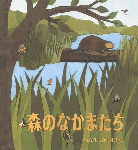 大日本絵画 とびだししかけえほん 森のなかまたち／ショーン・シーヒィ／みたかよこ／子供／絵本【3000円以上送料無料】