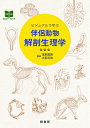 ビジュアルで学ぶ伴侶動物解剖生理学/浅利昌男/大石元治【3000円以上送料無料】