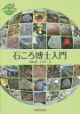 石ころ博士入門/高橋直樹/大木淳一【3000円以上送料無料】