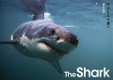 The Shark サメたちの海へ/鍵井靖章【3000円以上送料無料】