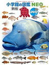 魚/井田齊/・執筆松浦啓一/・執筆藍澤正宏【3000円以上送料無料】
