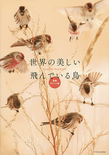 世界の美しい飛んでいる鳥 愛蔵ポケット版【3000円以上送料無料】
