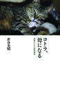 コトラ、母になる 津軽のネコの四季物語/岩合光昭【3000円以上送料無料】