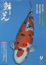 鱗光 2015-9【3000円以上送料無料】