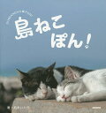 島ねこぽん!/あおいとり【3000円以上送料無料】