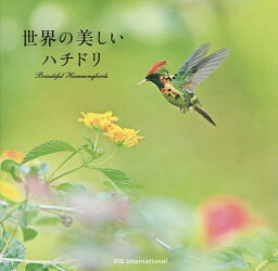 世界の美しいハチドリ／上田恵介／笠原里恵【3000円以上送料無料】