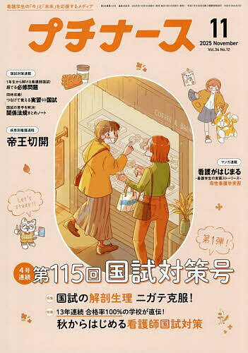 �ץ��ʡ��� 2025ǯ11���ڻ���ۡ�3000�߰ʾ�����̵����