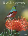 美しい鳥ヘンテコな鳥/川上和人【3000円以上送料無料】