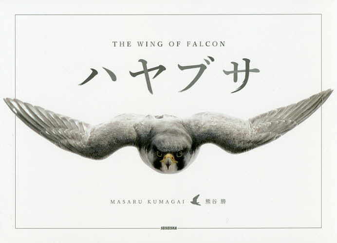 ハヤブサ THE WING OF FALCON／熊谷勝【3000円以上送料無料】