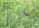 野鳥百景/庄司雅則【3000円以上送料無料】