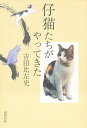 仔猫たちがやってきた/吉田比左史【3000円以上送料無料】
