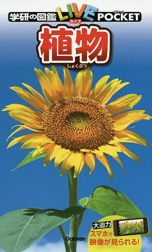 学研の図鑑LIVE POCKET 3 植物【3000円以上送料無料】のサムネイル