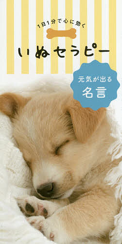 Other - 【3千円以上送料無料】1日1分で心に効くいぬセラピー／リベラル社