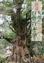 厳選九州の巨樹・巨木巡り入門ガイド/本田守/石井静也/旅行【3000円以上送料無料】