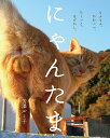 にゃんたま/芳澤ルミ子【3000円以上送料無料】