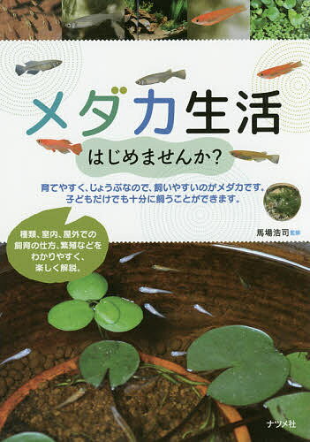 著者馬場浩司(監修)出版社ナツメ社発売日2016年07月ISBN9784816360626ページ数159Pキーワードペット めだかせいかつはじめませんか メダカセイカツハジメマセンカ ばば こうじ ババ コウジ9784816360626内容紹介種類、室内、屋外での飼育の仕方、繁殖などをわかりやすく、楽しく解説。※本データはこの商品が発売された時点の情報です。目次1章 メダカ基本の「キ」（メダカを知る—メダカってどんな魚なの？/棲息場所—どんなところに棲んでいる？ ほか）/2章 飼育の準備をする（飼育容器の選び方—どの飼育容器を選べばいい？/水の準備—どんな水を用意すればいいの？ ほか）/3章 メダカの飼い方（室内編）（水槽の設置方法—水槽はどうやってセットする？/室内レイアウト—水槽レイアウトを楽しもう ほか）/4章 メダカの飼い方（屋外編）（設置場所と注意点—飼育容器を置くときのポイント/屋外レイアウト—いろいろなレイアウトを楽しもう ほか）/5章 メダカを繁殖させよう（メダカの体型—自然界では出会えないメダカ/メダカの体色—突然変異で生まれたカラフルなメダカ ほか）