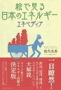 絵で見る日本のエネルギー エネペディア/箭内克寿/堀川さゆり【3000円以上送料無料】