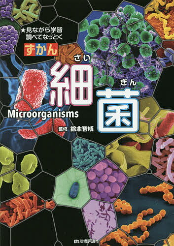 ずかん細菌 見ながら学習調べてなっとく／鈴木智順／ネイチャー＆サイエンス【3000円以上送料無料】